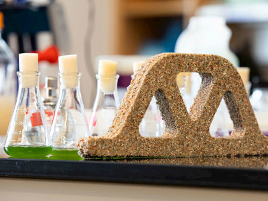 林俊德：“院士不可能样样都懂”