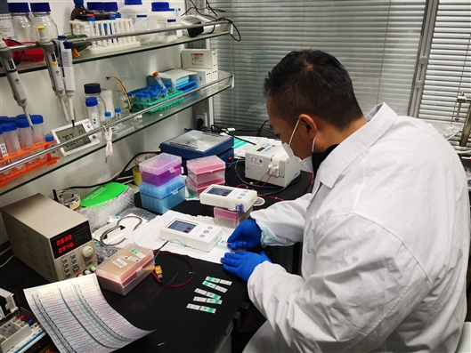 争分夺秒 研发“测毒利器”