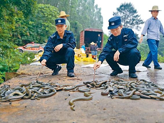 食用野味“零容忍”，释放了哪些信号？