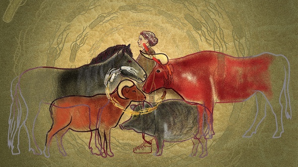 猪沙门氏菌或源自人类