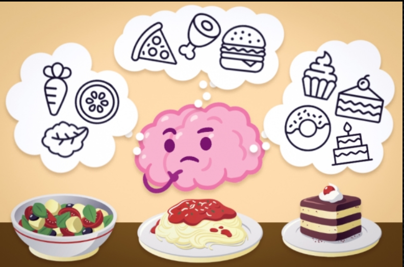 神经科学家发现可以帮助我们解释新情况的记忆细胞