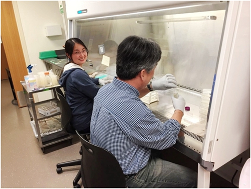 植物靠遗传网络调控“叶圈”微生物