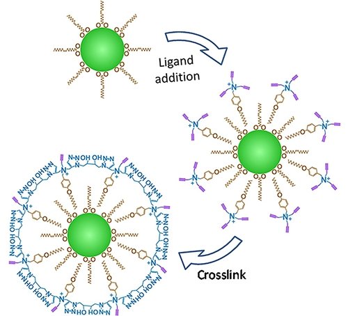 可溶性有机纳米聚合物研究获突破