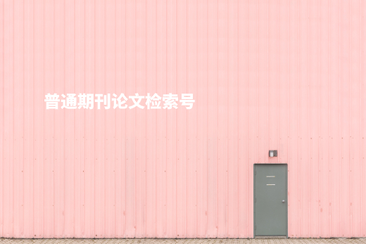 普通期刊论文检索号