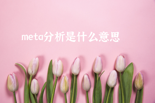 meta分析是什么意思