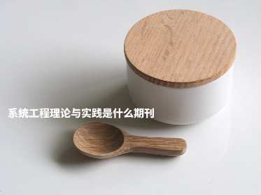 系统工程理论与实践是什么期刊