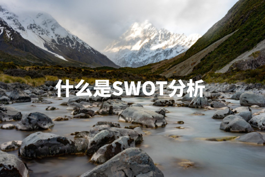 什么是SWOT分析 