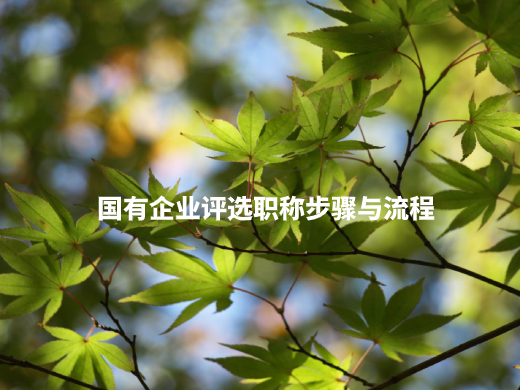 国有企业评选职称步骤与流程