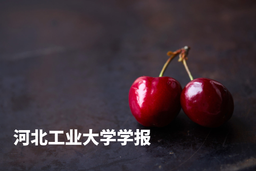 河北工业大学学报