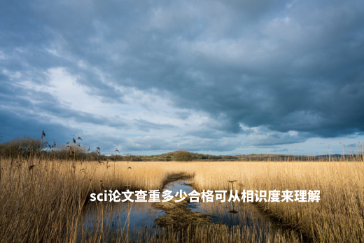 sci论文查重多少合格可从相识度来理解
