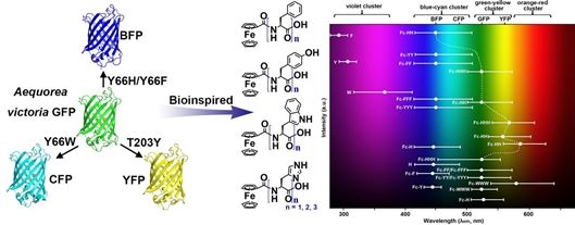 新型仿生荧光多肽研究获新进展