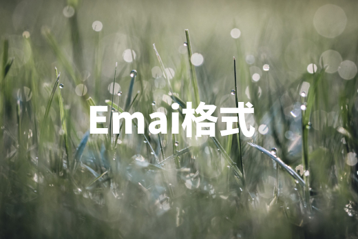 Emai格式