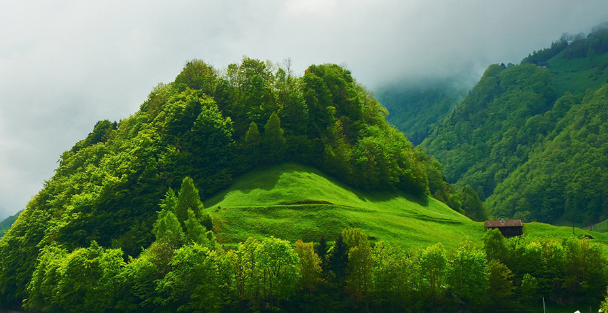 sci论文发表多久才有收录号？