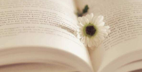 怎么根据意见修改期刊论文？