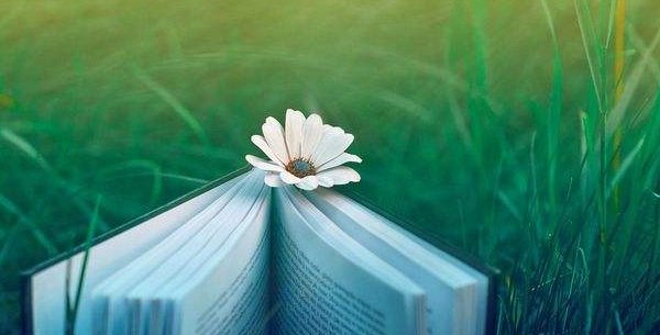 期刊论文撰写有什么修改建议？