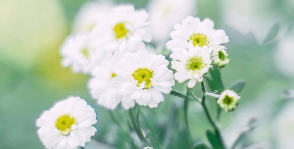 分享几个三区sci论文写作技巧