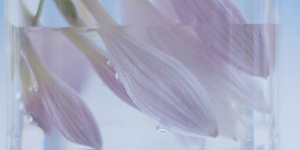 如何润色医学sci论文？