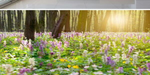 CiteSpace从哪三个方面挖掘数据