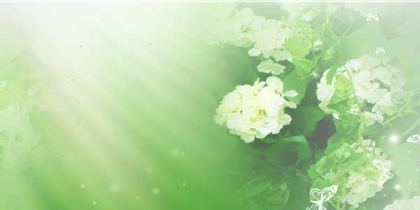 C4d科研绘图软件的优势