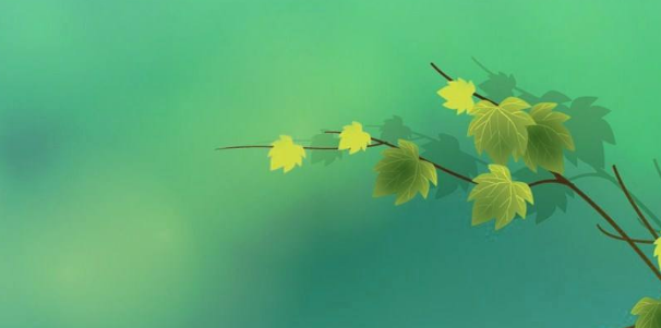 如何把c4d科研制图学习到精通