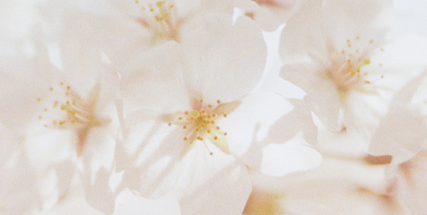 c4d和3dmax相较有哪些优势？