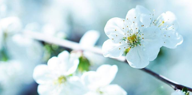 c4d怎么导入图片描图建模