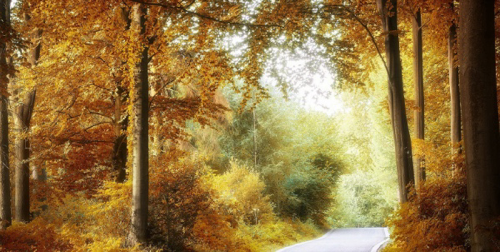 英文论文润色有哪几个层次