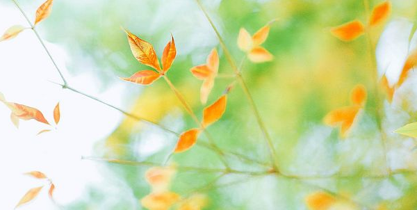 SCI论文润色有什么含义