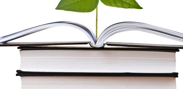 sci论文有字数要求吗？