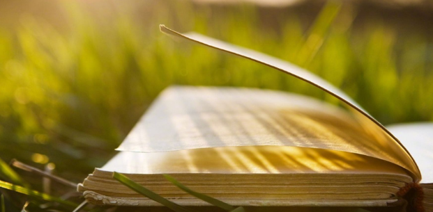 emba论文要怎么进行修改？