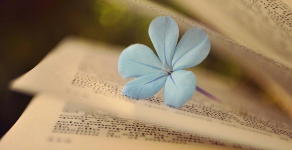 论文查重的标准是怎样的？