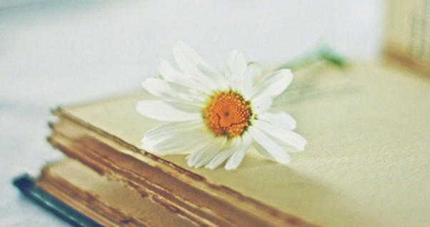 分享几个避免论文查重率高的技巧