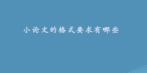 小论文的格式要求有哪些