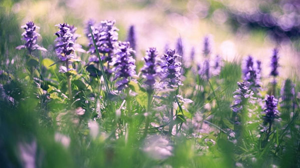 毕业论文查重前需注意的三个问题