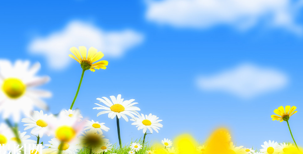 学术论文格式以及书写要求