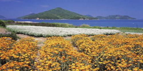 学术期刊投稿论文返修怎么办