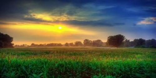 SCI论文为什么会被退稿