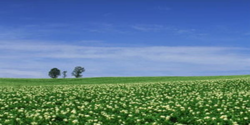 期刊论文投稿被拒稿的原因