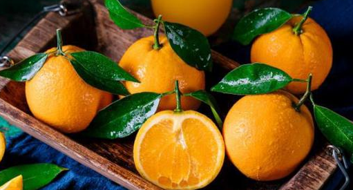 大学毕业设计论文结束语范文