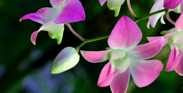 SCI论文润色一篇多少钱