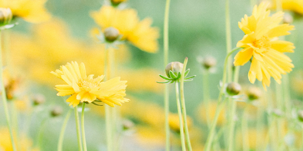 国内SCI论文润色如何收费？