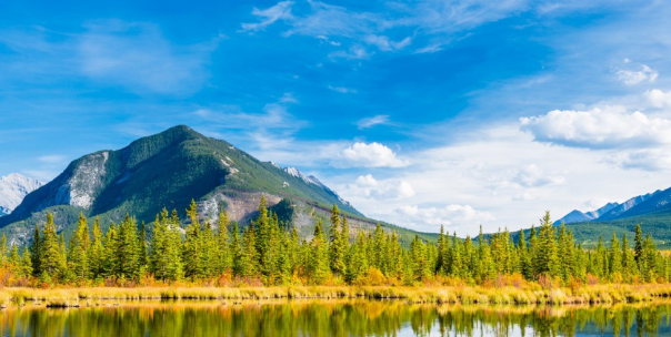 Stata常用做图命令有哪些？