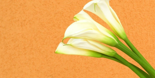 我们应该怎样选择一个合适的科技论文题目？