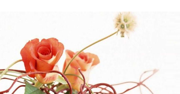 在写科技论文前我们应该准备些什么？