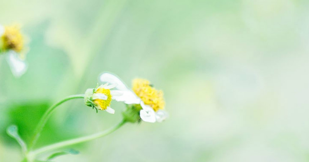 写科技论文应该需要注意什么问题？