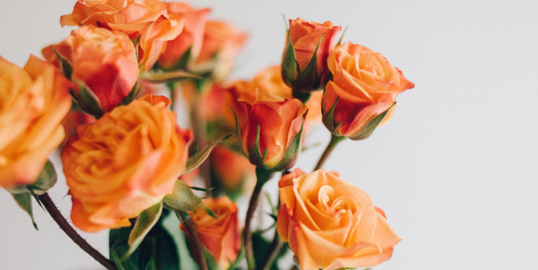  毕业论文的开题报告框架学习