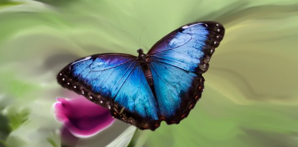 毕业论文的起题应该注意一些什么？