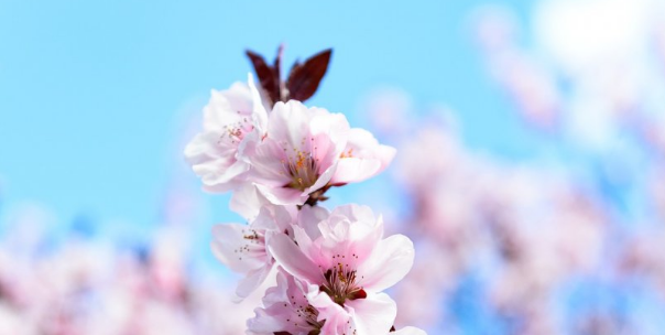 毕业论文写作的三个要点