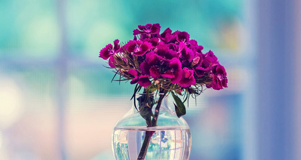 一篇文章教你答辩如何才能不紧张