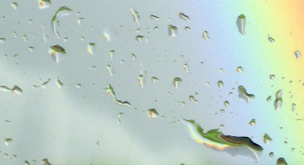 毕业答辩有哪些流程呢？